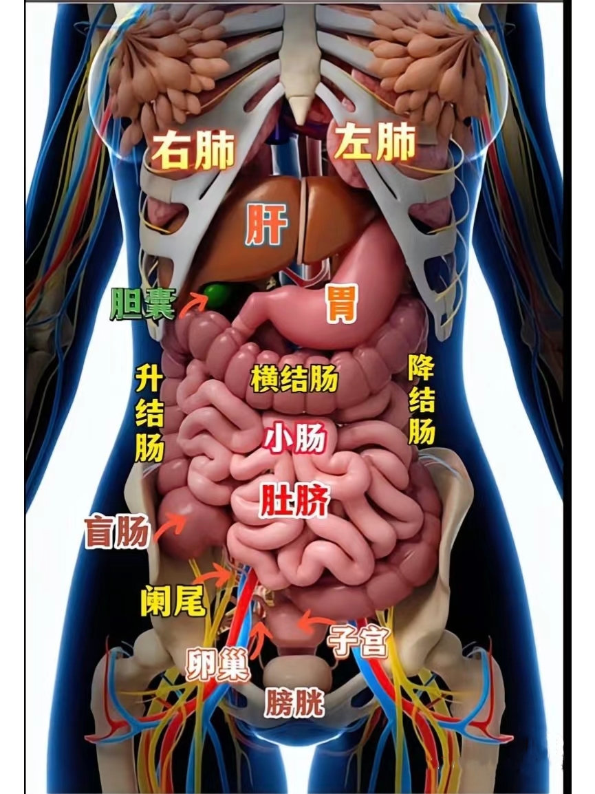 高清图来了