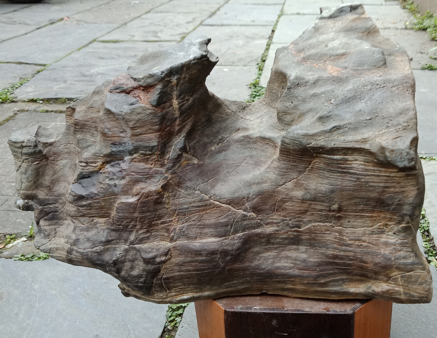 诗词歌赋交流地# 亿万年前桫椤木化石牛珍品观赏有感,文/可禺