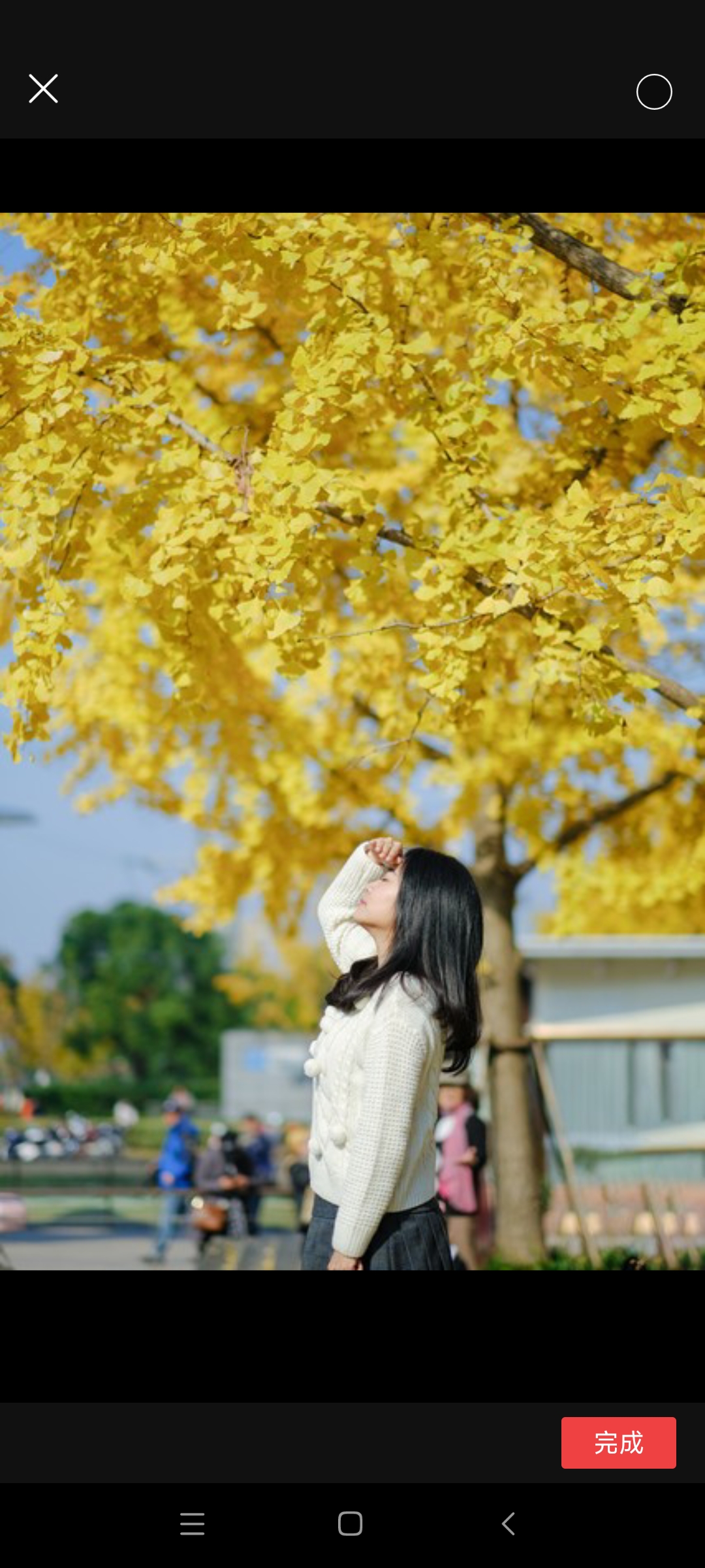 题目:秋日的女性摄影家  在秋天的午后,阳光像柔和的丝带,洒在金黄的
