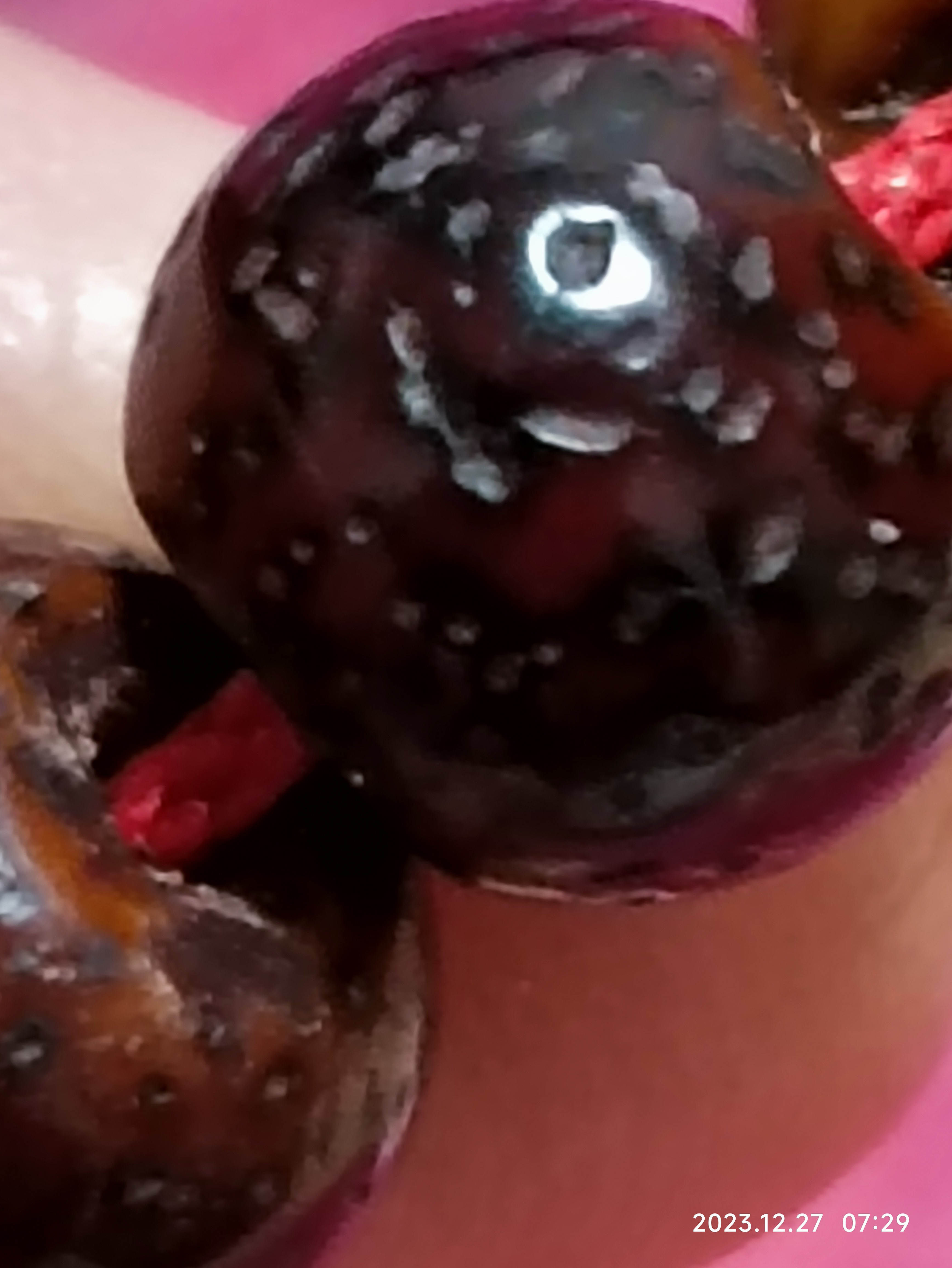 很多网上卖的所谓老星月,其实都是油炸的星月菩提,上图的星月菩提是我