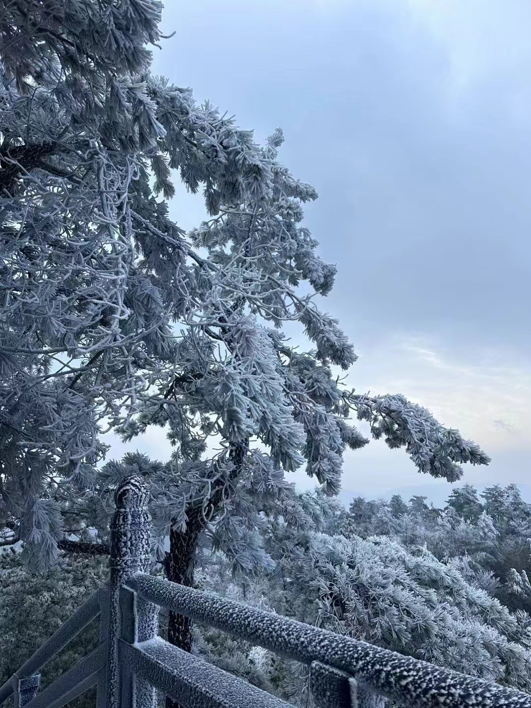 天姥山的雾凇美景