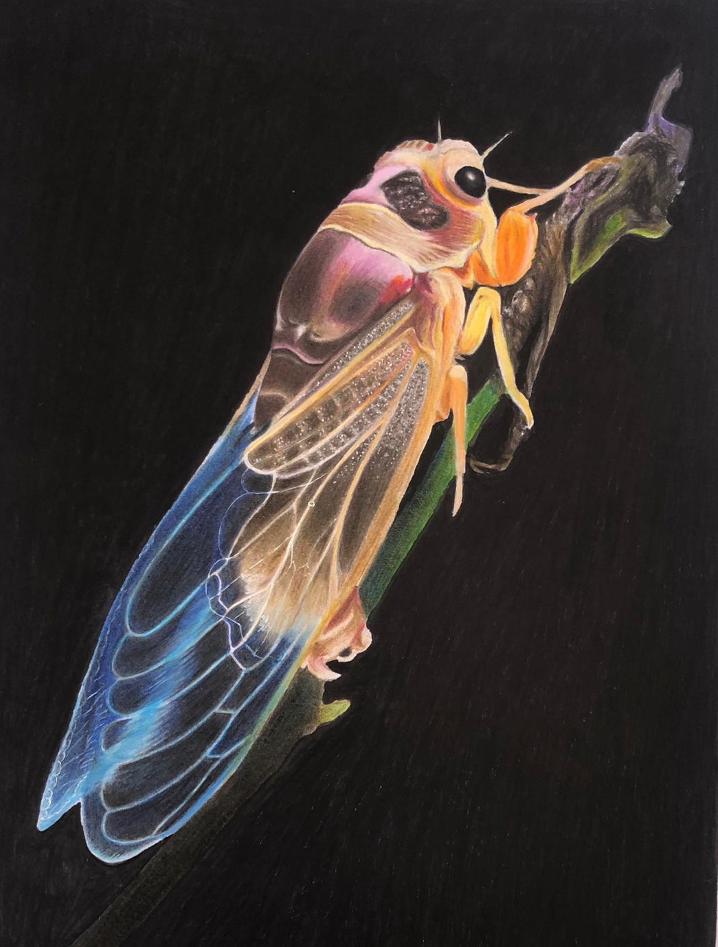 行书斗方作品欣赏      唐戴叔伦画蝉诗一首      饮露身何洁,吟风韵