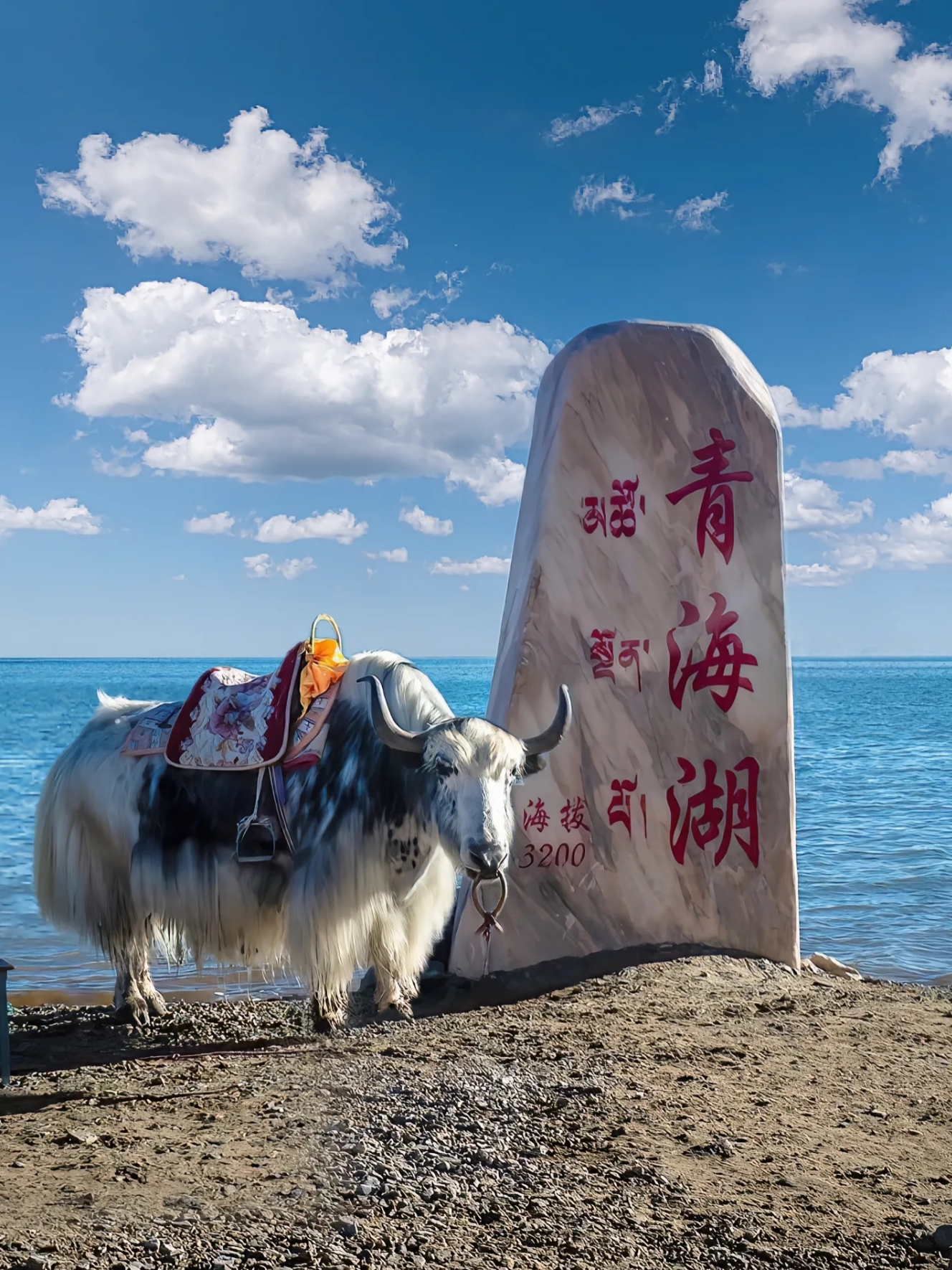 城市点评#青海,那片广袤而深邃的土地,像是大地的一滴泪,又像是天空
