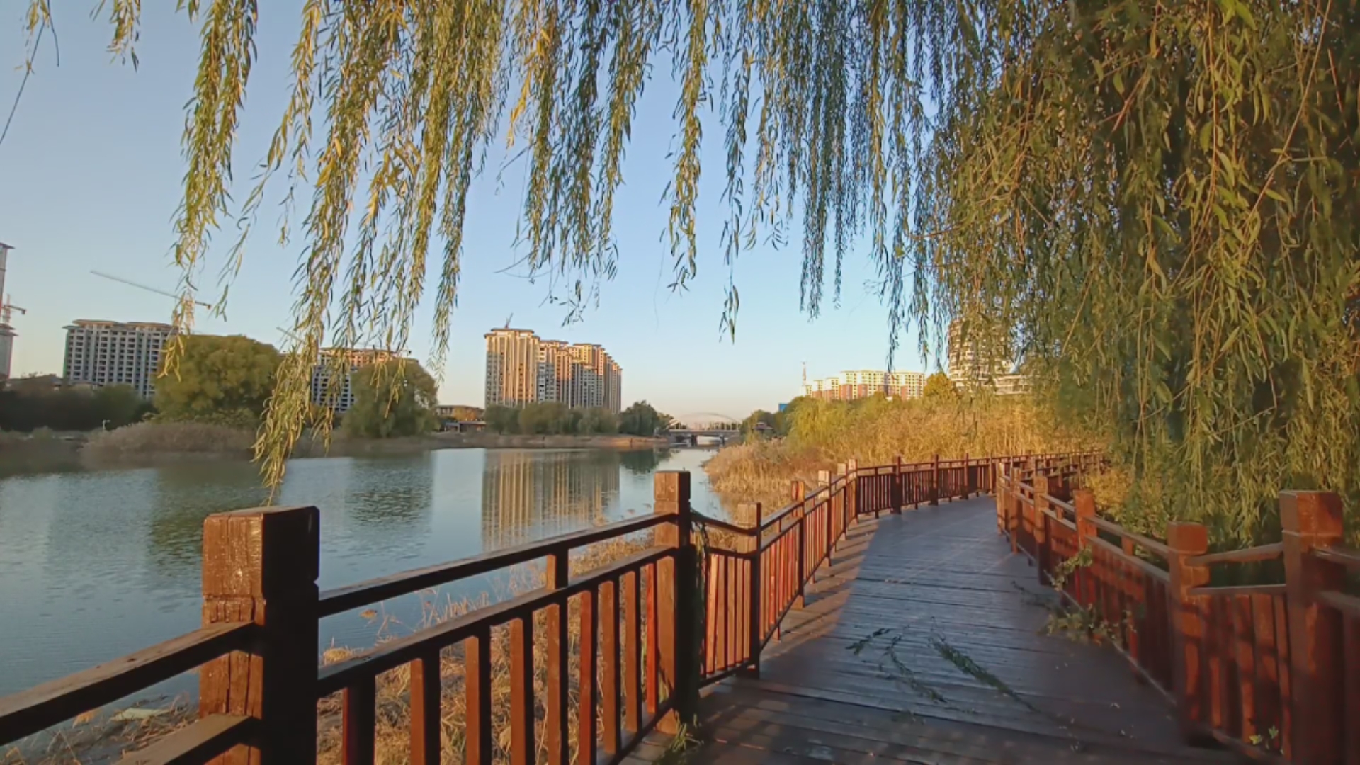 濮阳市马颊河滨河公园竹翠园随拍