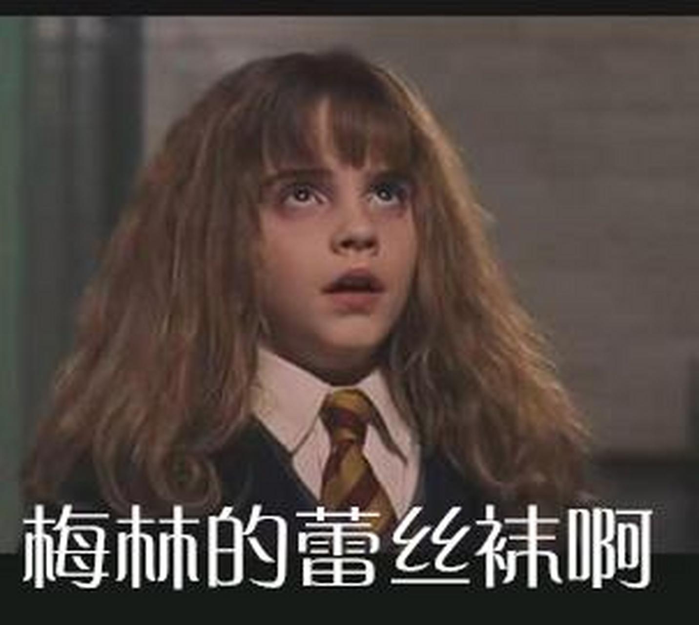 哈利波特系列搞怪表情包 (德赫)