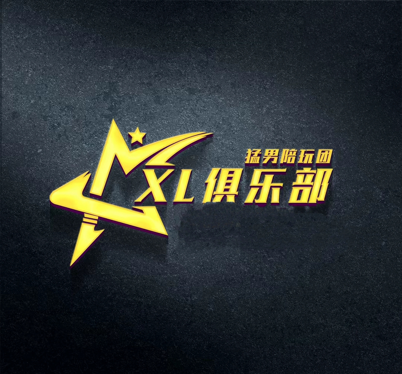 XLlogo图片