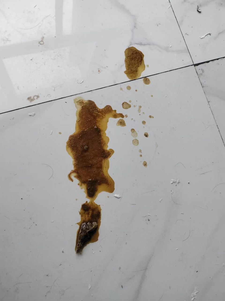 祝愿大家都能刷到这里,便宜又好用 香蕉 香蕉这种东西呢,虽然分季节