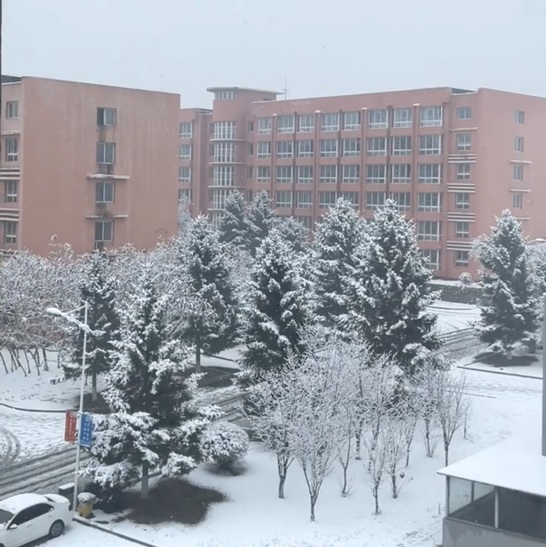 苏州大学雪景图片