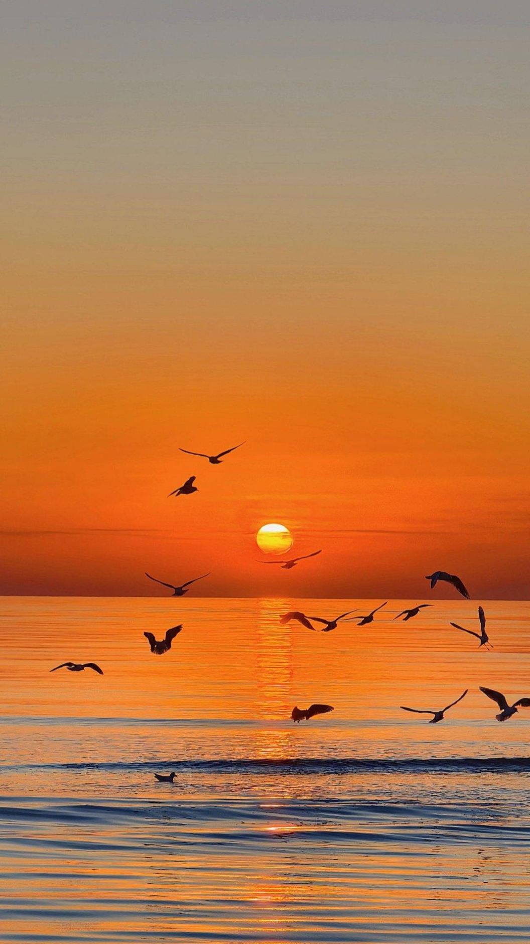 黄昏慢慢降临,太阳好像一位倦意满溢的舞者,缓缓拉下天际的帷幕