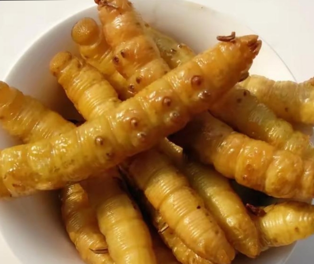 今天上街买菜看到了这么大的豆虫,说实话,几十年没看见了,蛋白质高