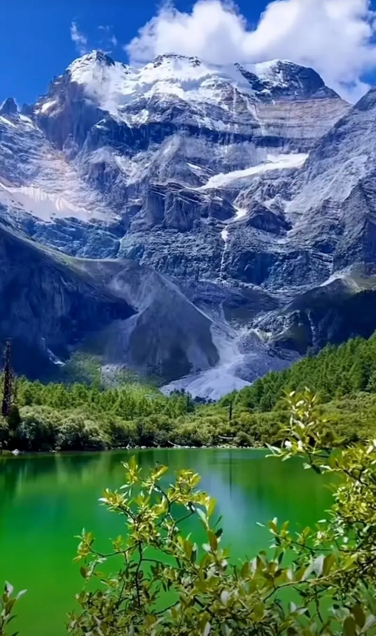 健康养生# 缓步徐行,任其所至.舒筋活血,稳定情绪.