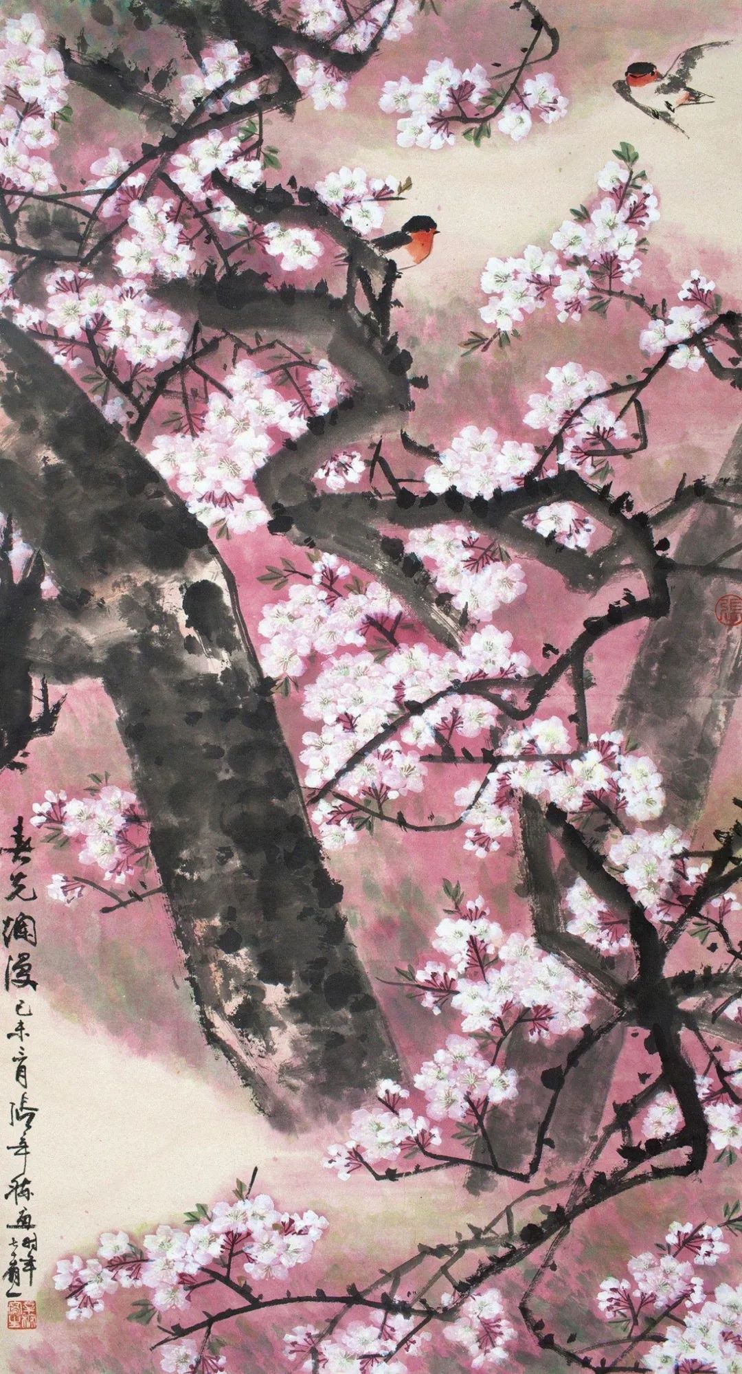 樱花树下的春天美景.