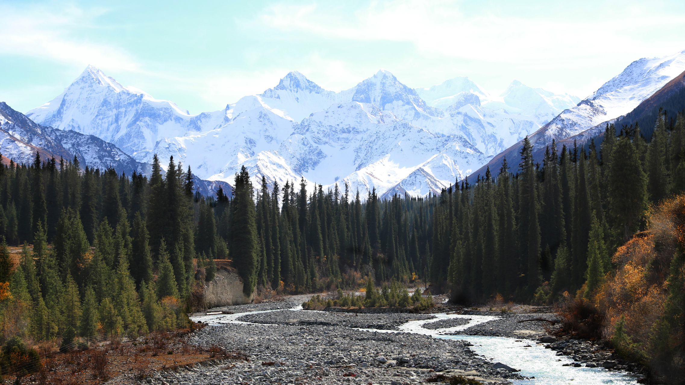 新疆夏塔古道国家森林公园  木扎尔特冰川