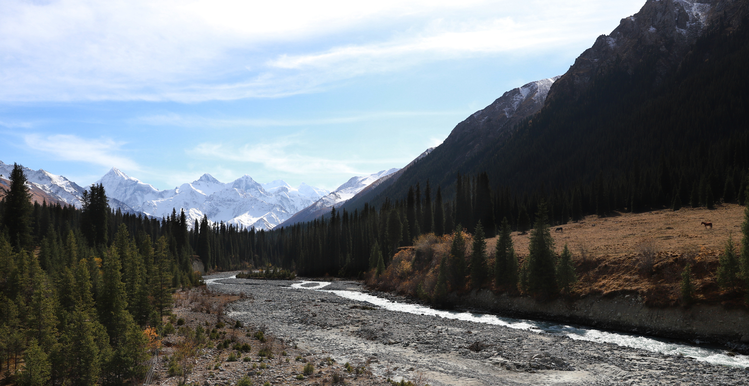 新疆夏塔古道国家森林公园  木扎尔特冰川