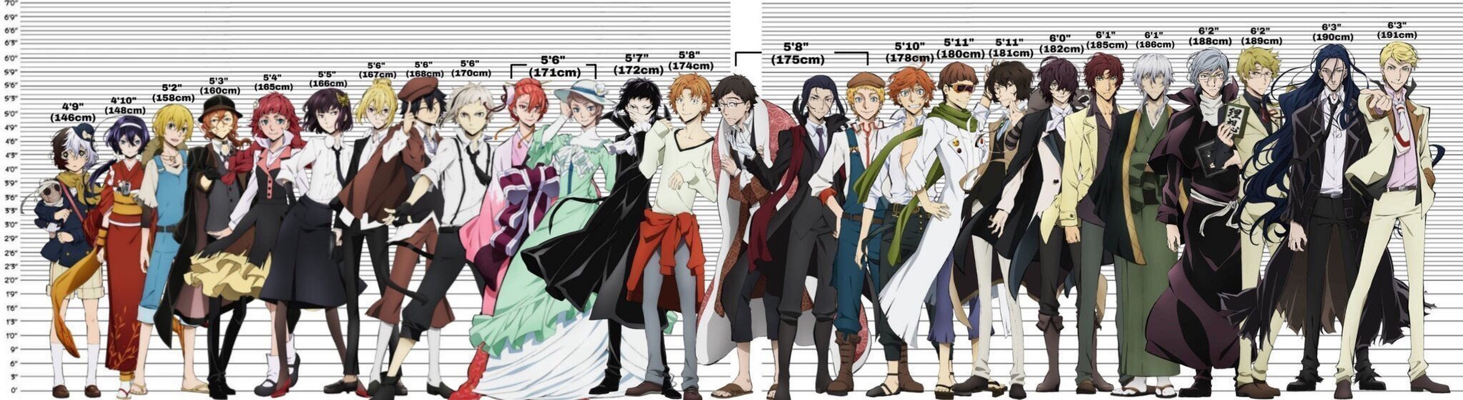 文野全员身高图