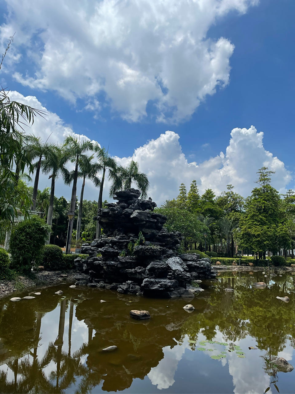 这里是顺德区的容桂.这里是一个历史悠久的公园,名叫花溪公园.