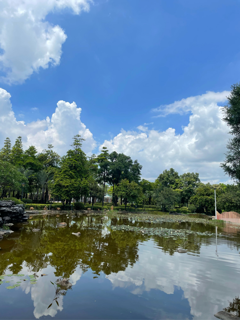 这里是顺德区的容桂.这里是一个历史悠久的公园,名叫花溪公园.