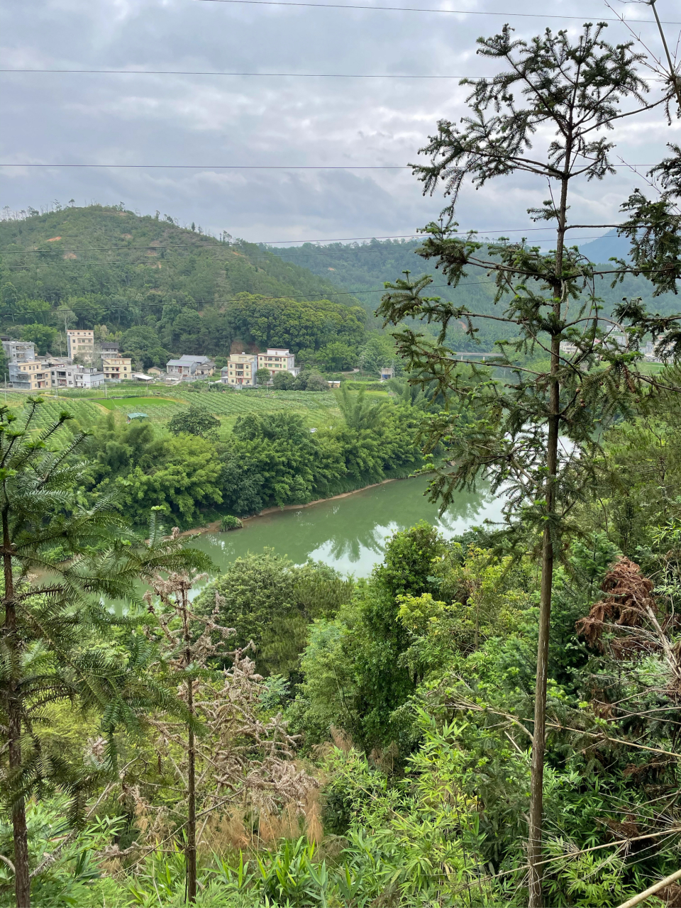 一水护田将绿绕,两山排闼送青来.
