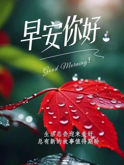 早安你好!  #寻找热爱表达的你