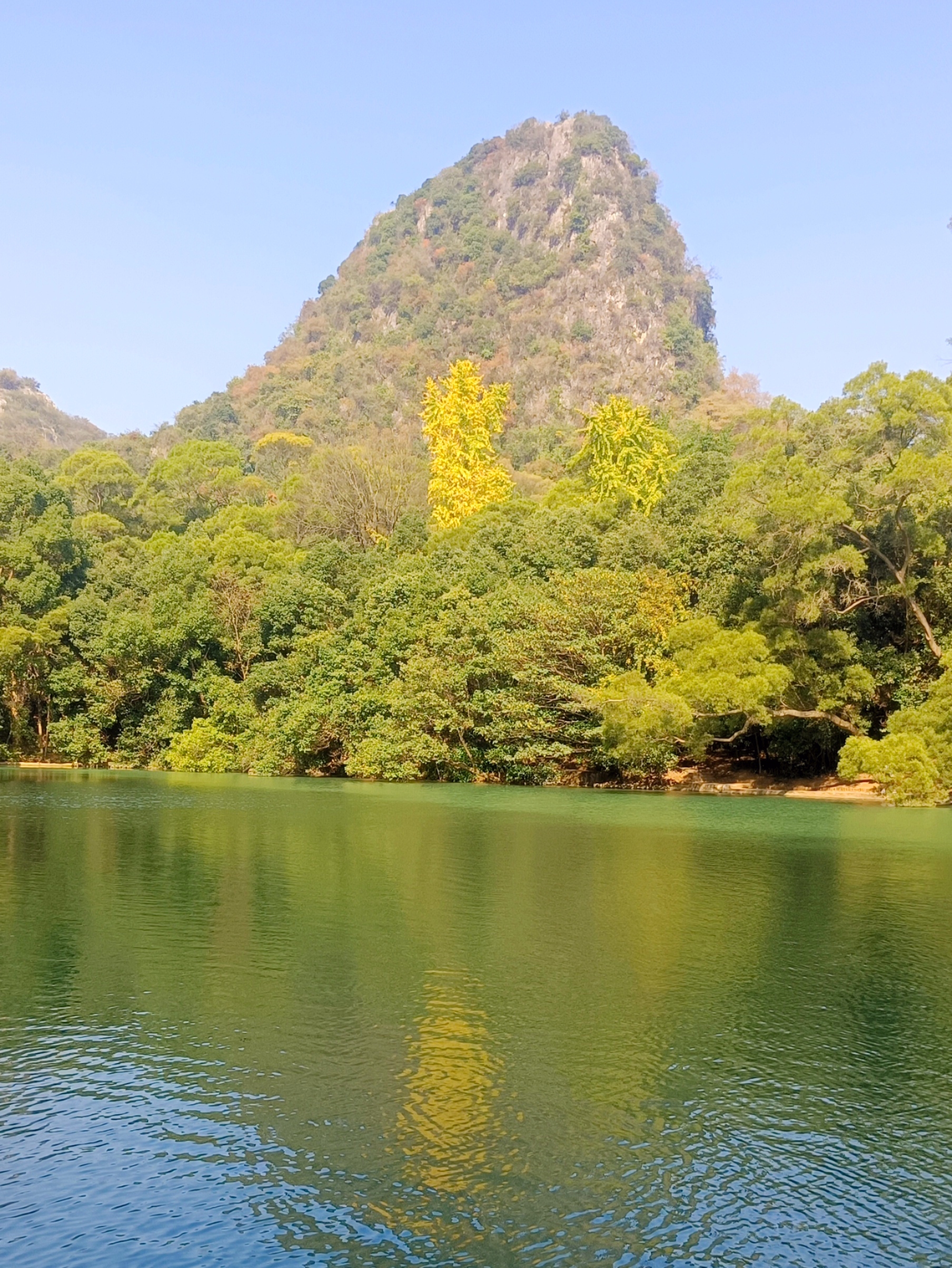 柳州大龙潭风景区图片图片