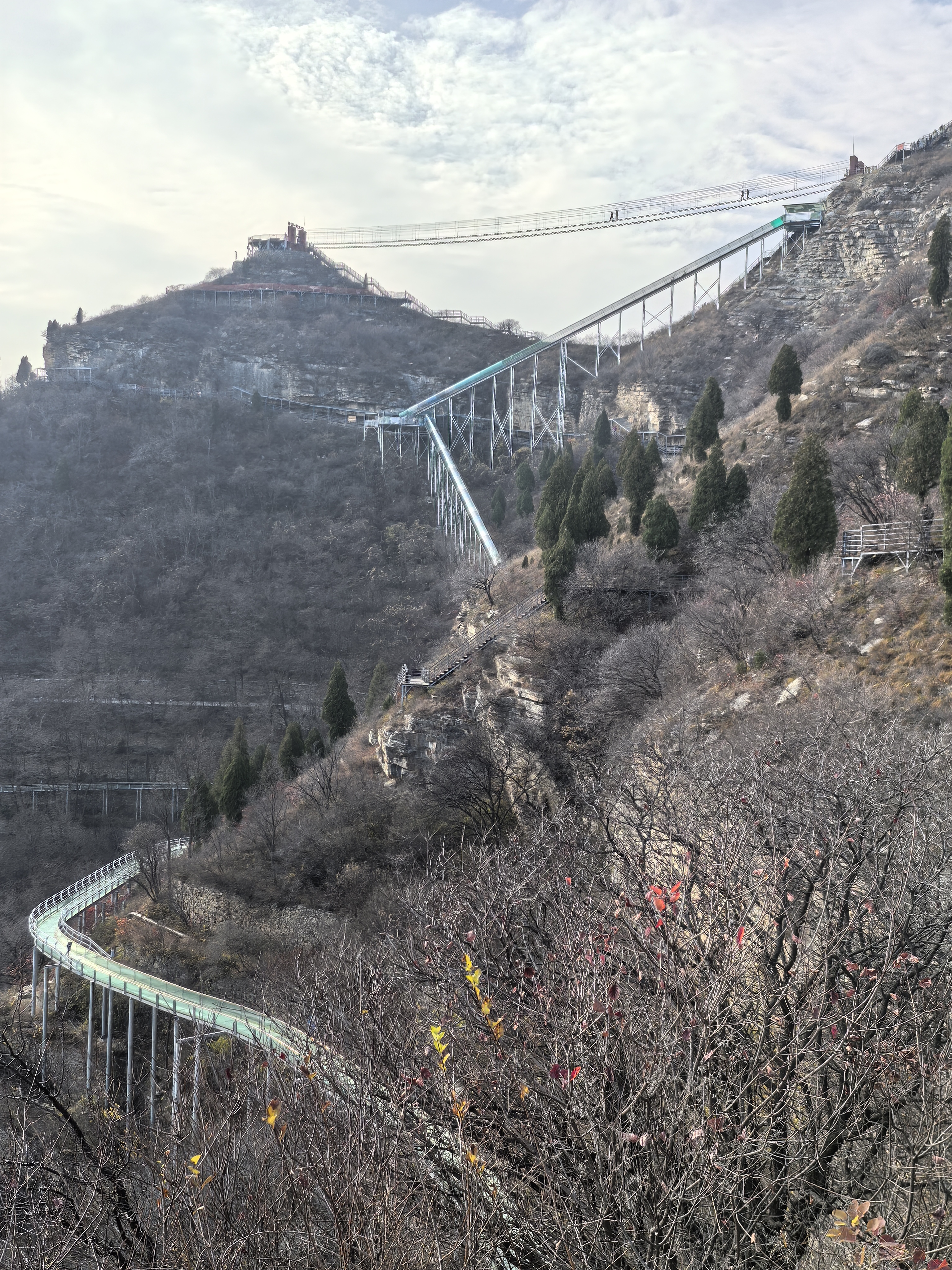 红叶柿岩春节免费图片