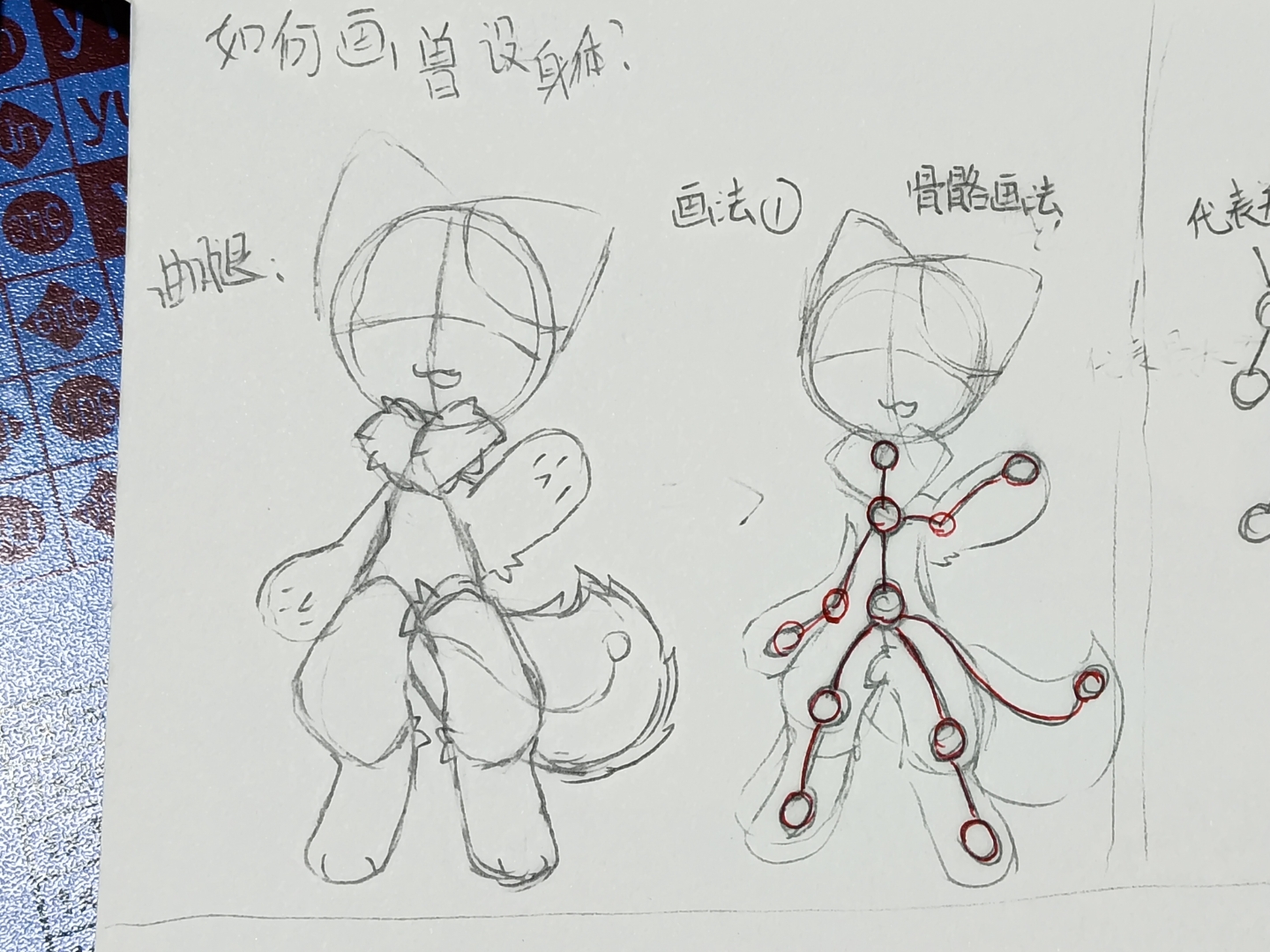 身体结构教程#兽设