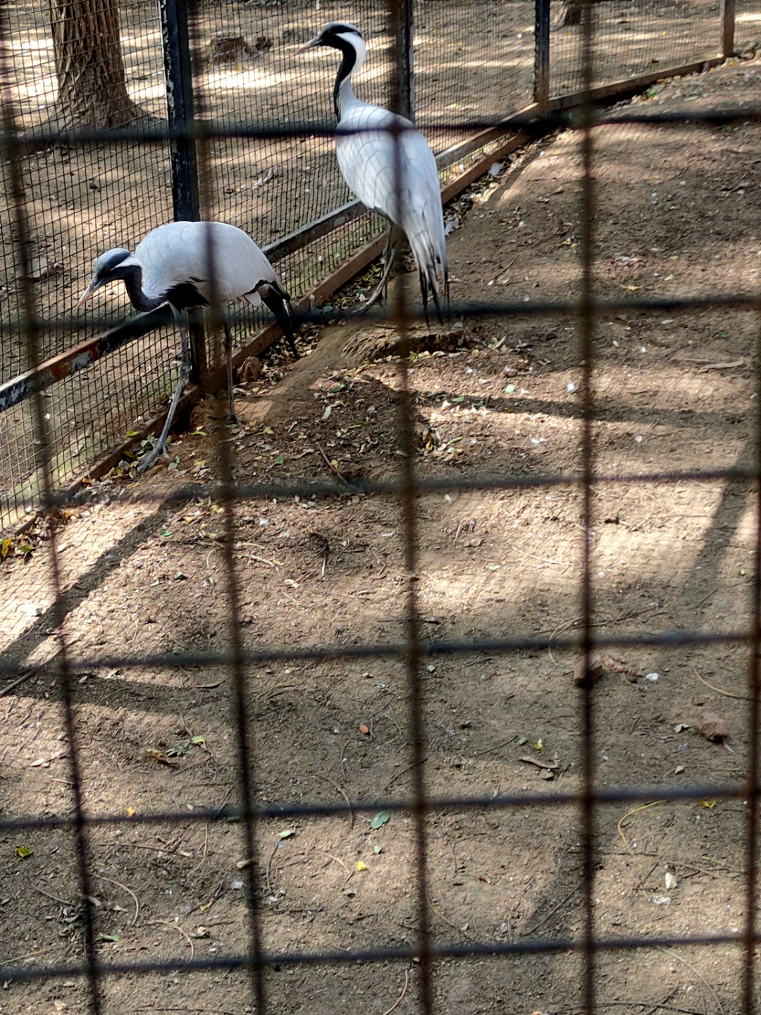 我的旅行日记#辽宁辽阳市龙鼎山动物园一日游