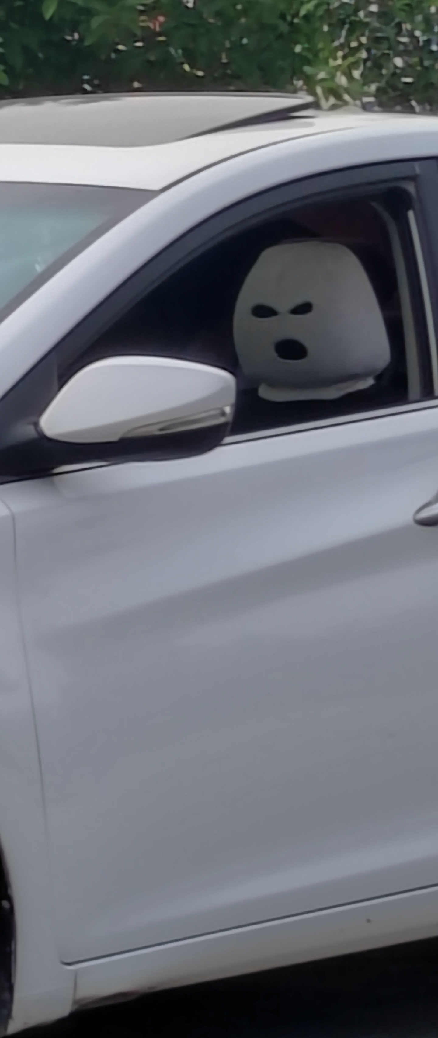 这是我见过的唯一让我点赞的汽车头枕套,既有创意,还兼备了保镖和防盗