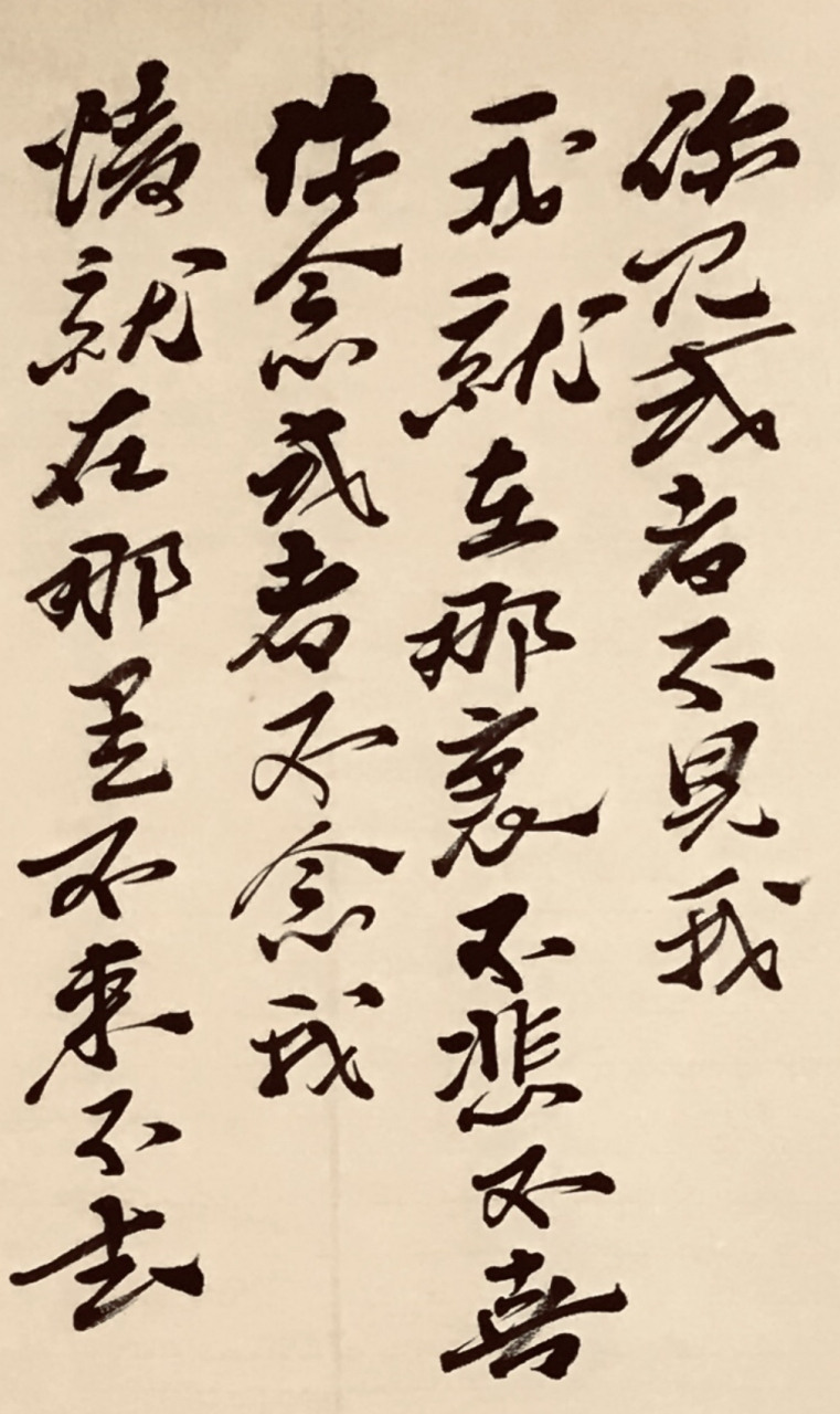 13,见与不见原题班扎古鲁白玛的沉默作者扎西拉姆·多多 你见,或者不