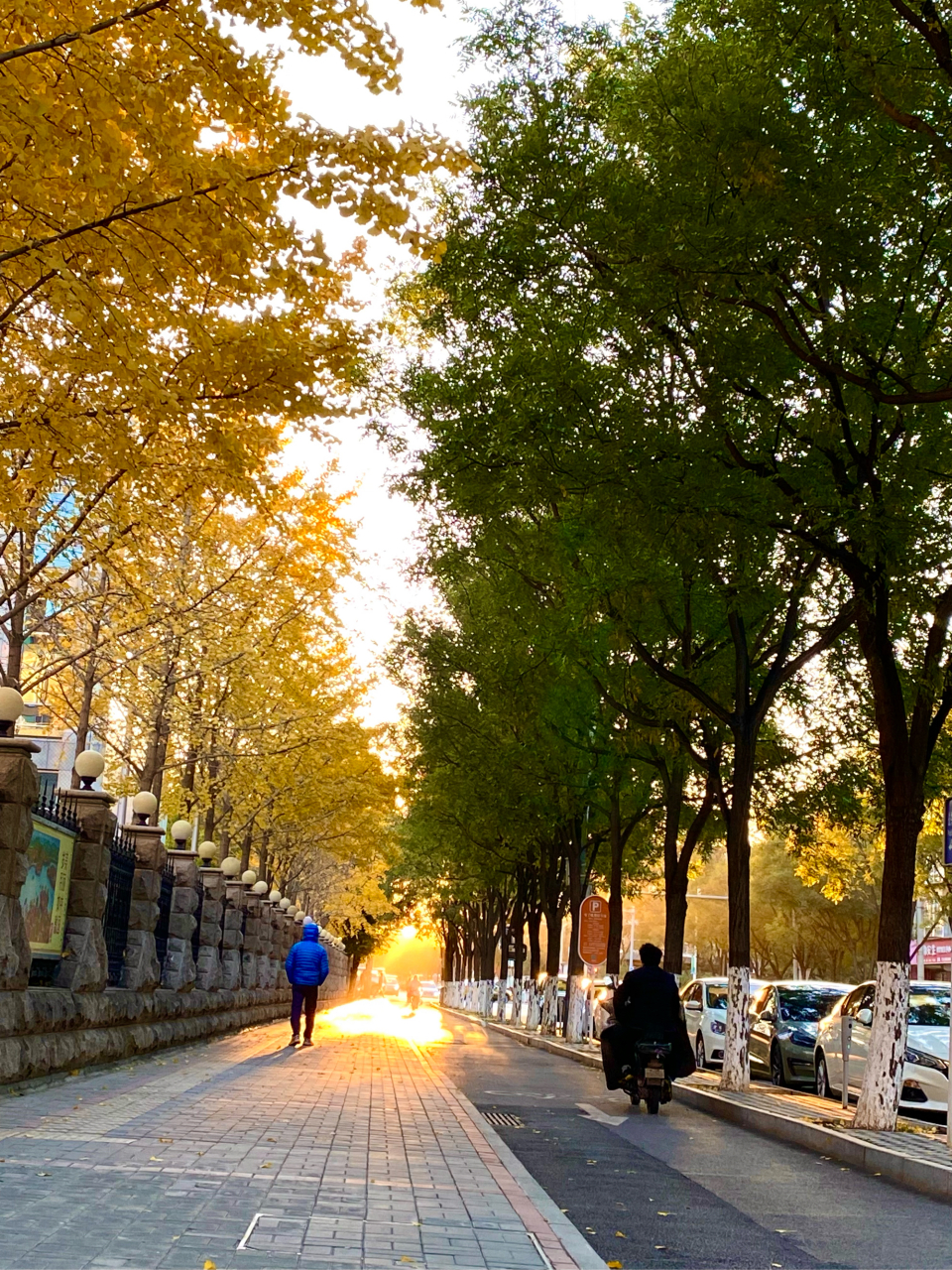 浣溪沙 【中华通韵】  【格式一,韩偓体】    慧性之心清净人  舒心