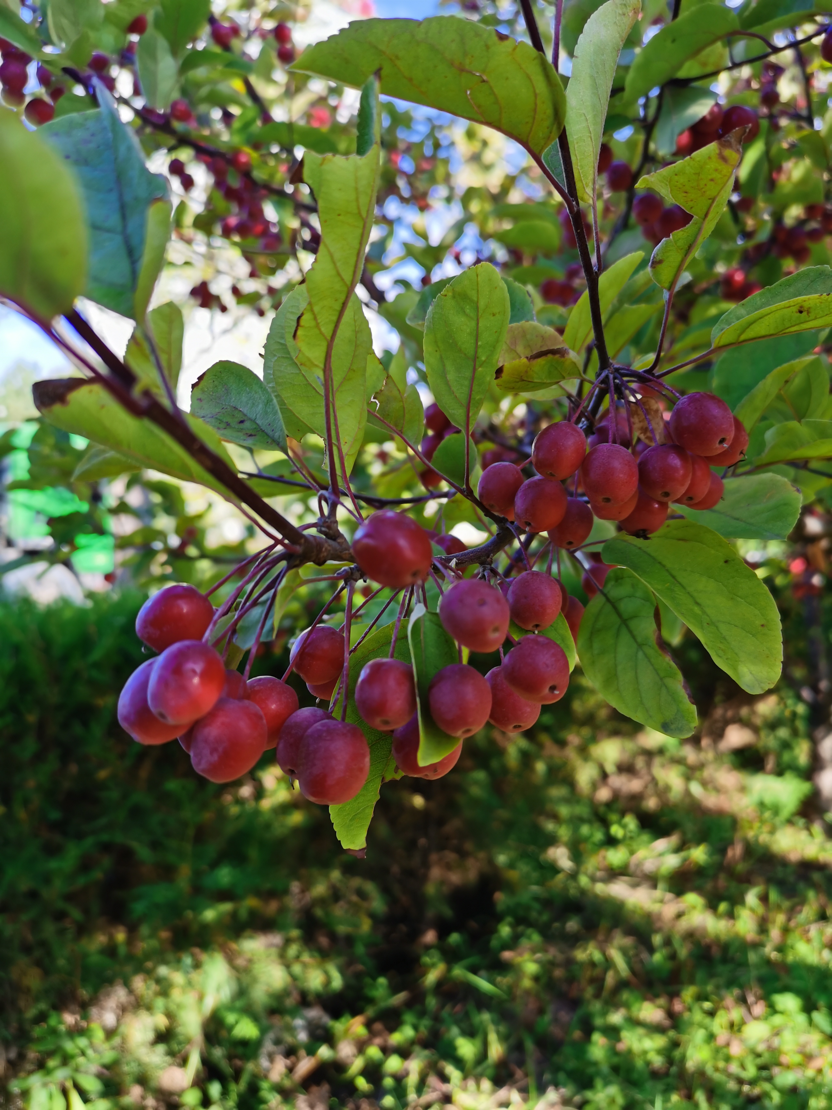 解释顺手牵羊的意思就是借用有力的因素作出快速反应,以对自身有利或