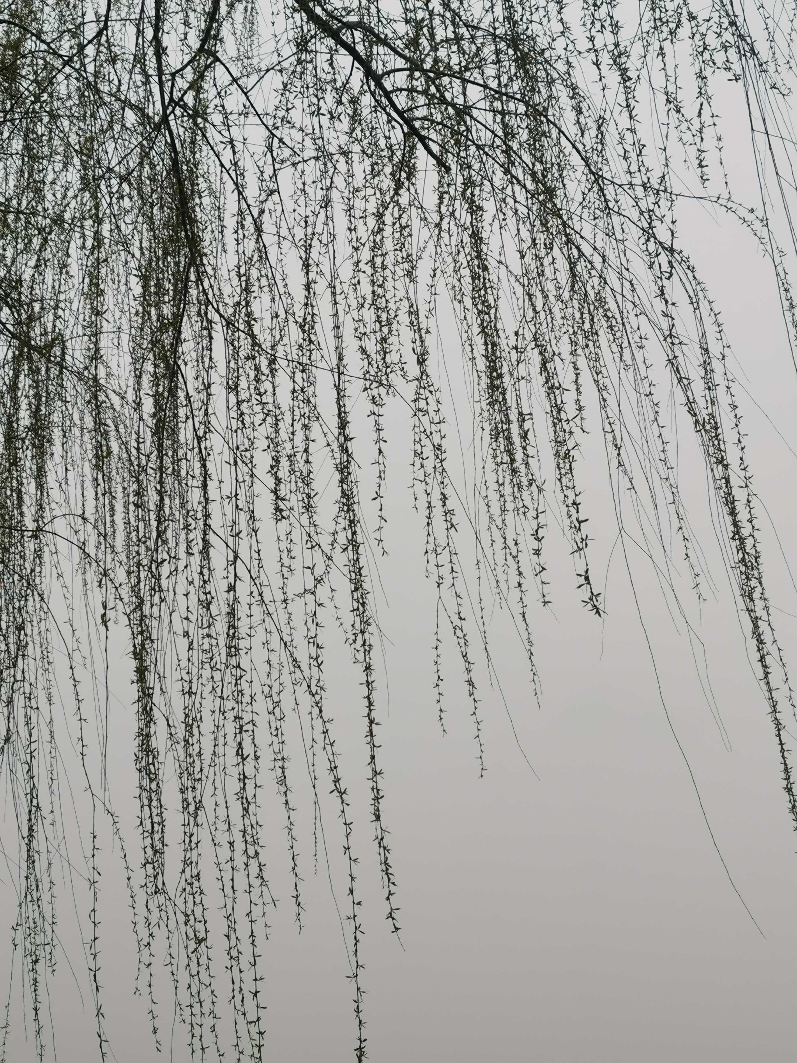 答:财务业务到财务管理的转变有几个出发点:一是