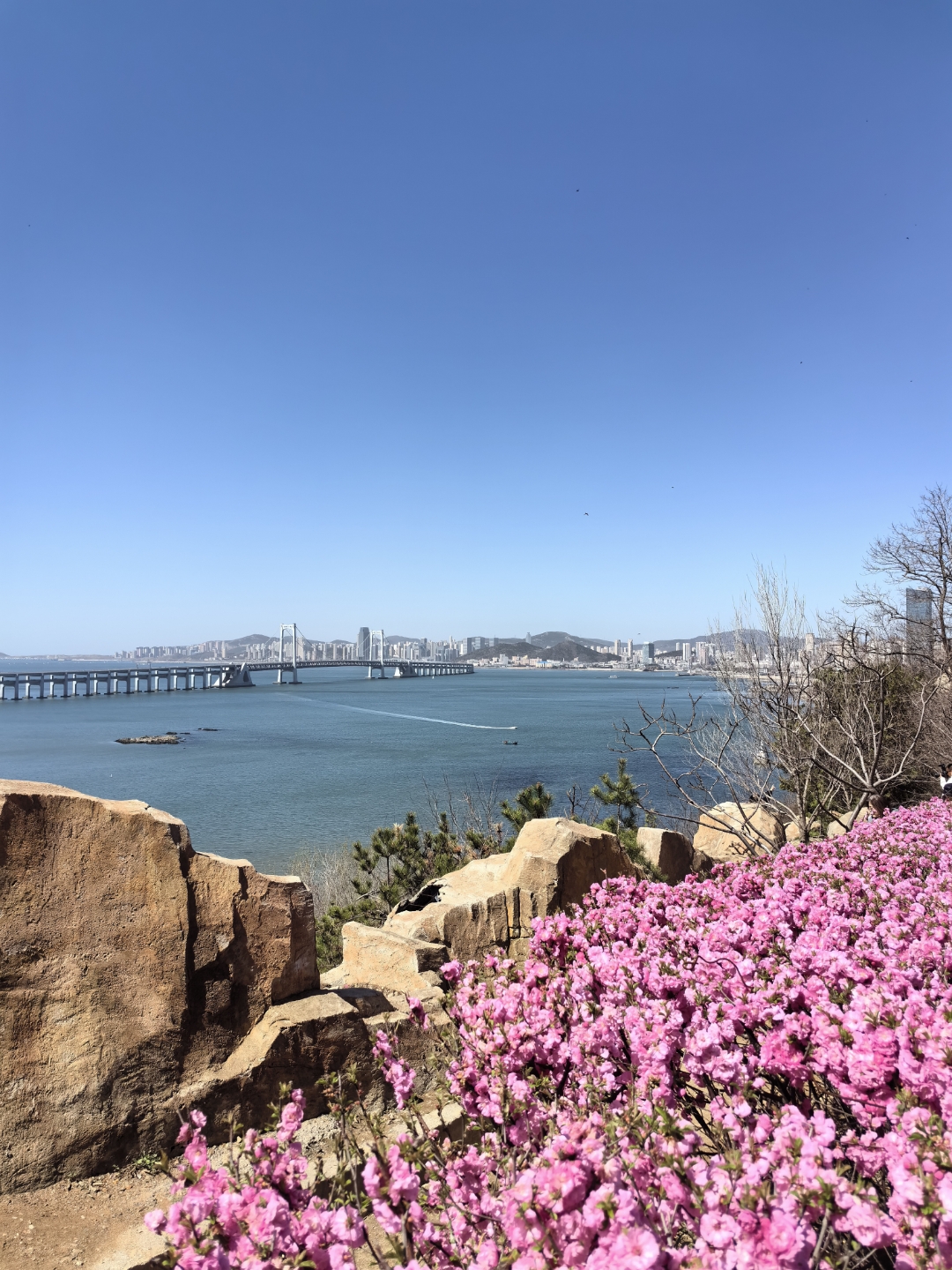 大连莲花山隧道图片