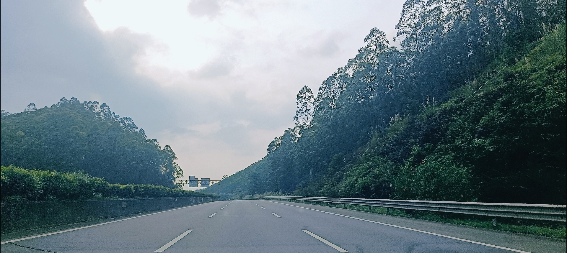 宁静的午后,阳光透过云层洒落在公路上,两旁的树木和灌木丛显得格外