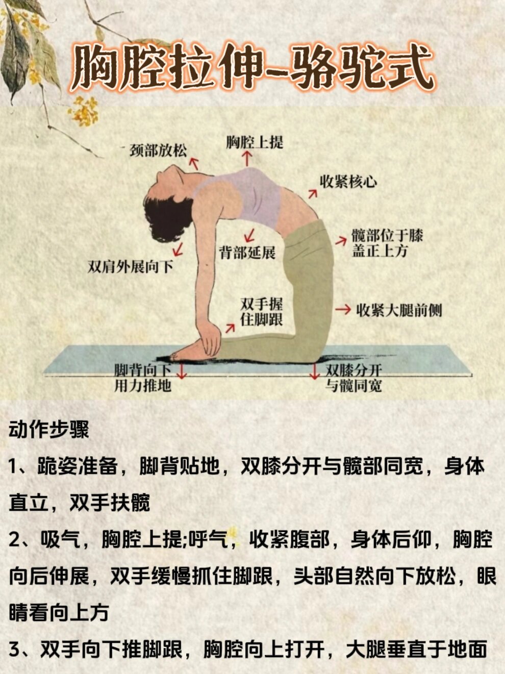 最伟大拉伸动作图解图片