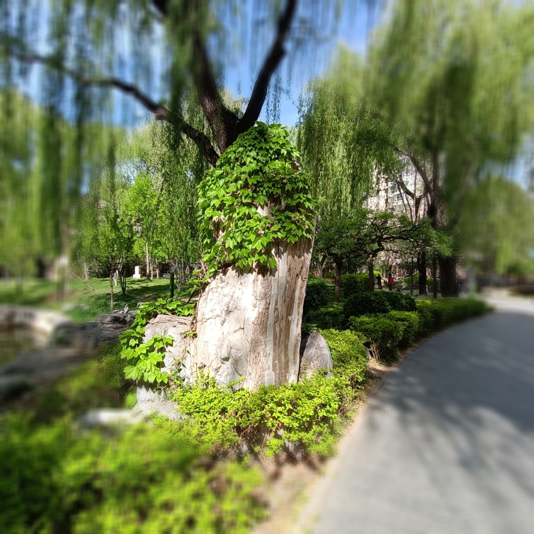 北京青年湖公园,景色宜人,令你心旷神怡.#摄影爱好者联盟