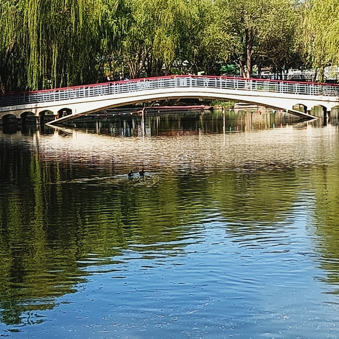北京青年湖公园,景色宜人,令你心旷神怡.#摄影爱好者联盟