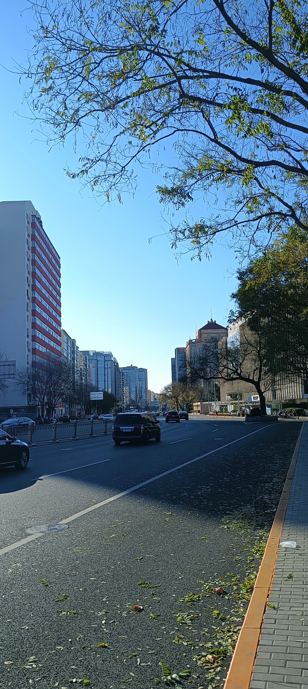北京西城街景.