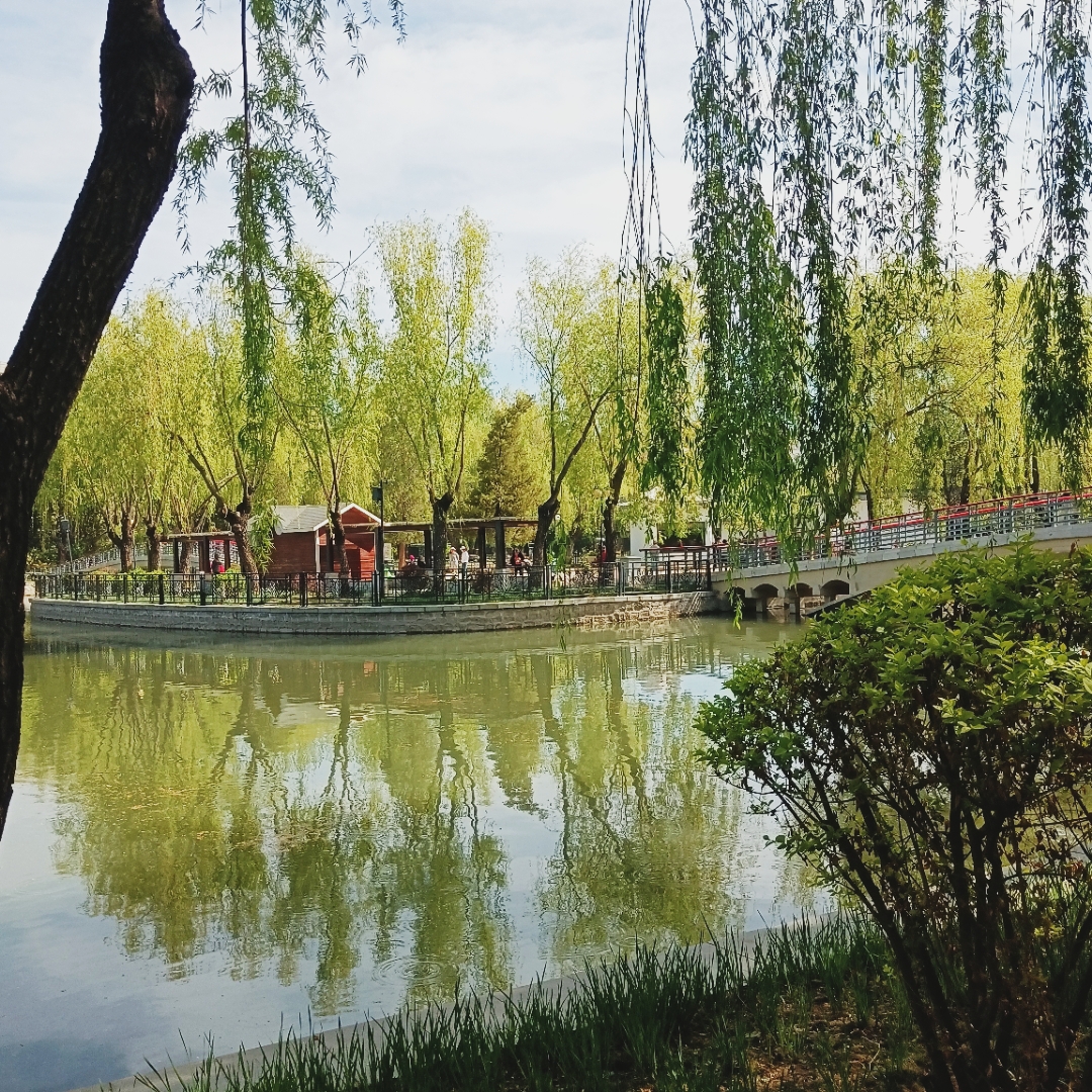 北京青年湖公园,景色宜人,令你心旷神怡.#摄影爱好者联盟