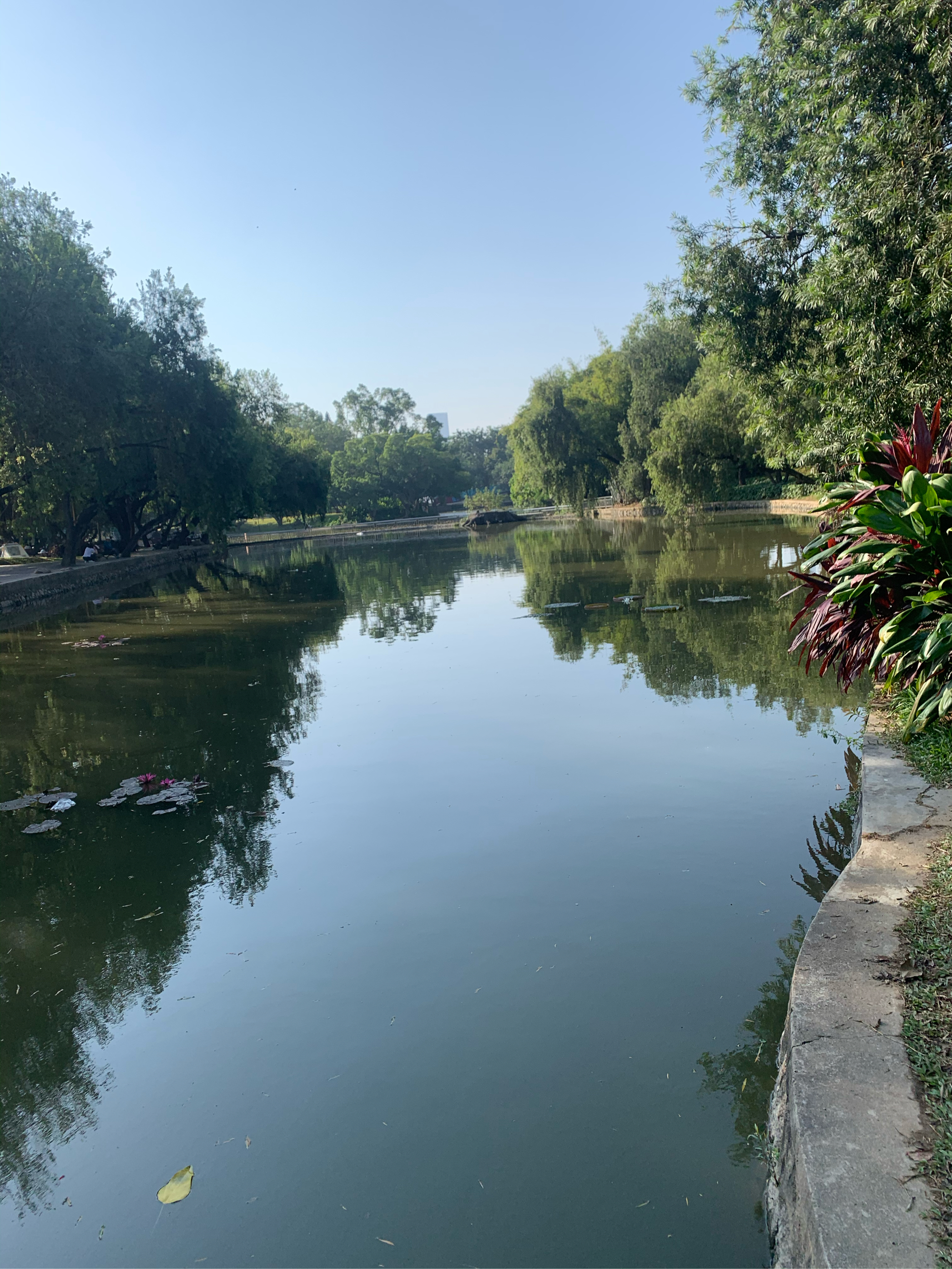 洪湖风景图片图片