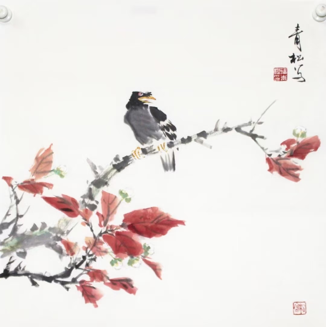 蒲青松:三尺斗方50×50㎝.纯手绘小写意花鸟.