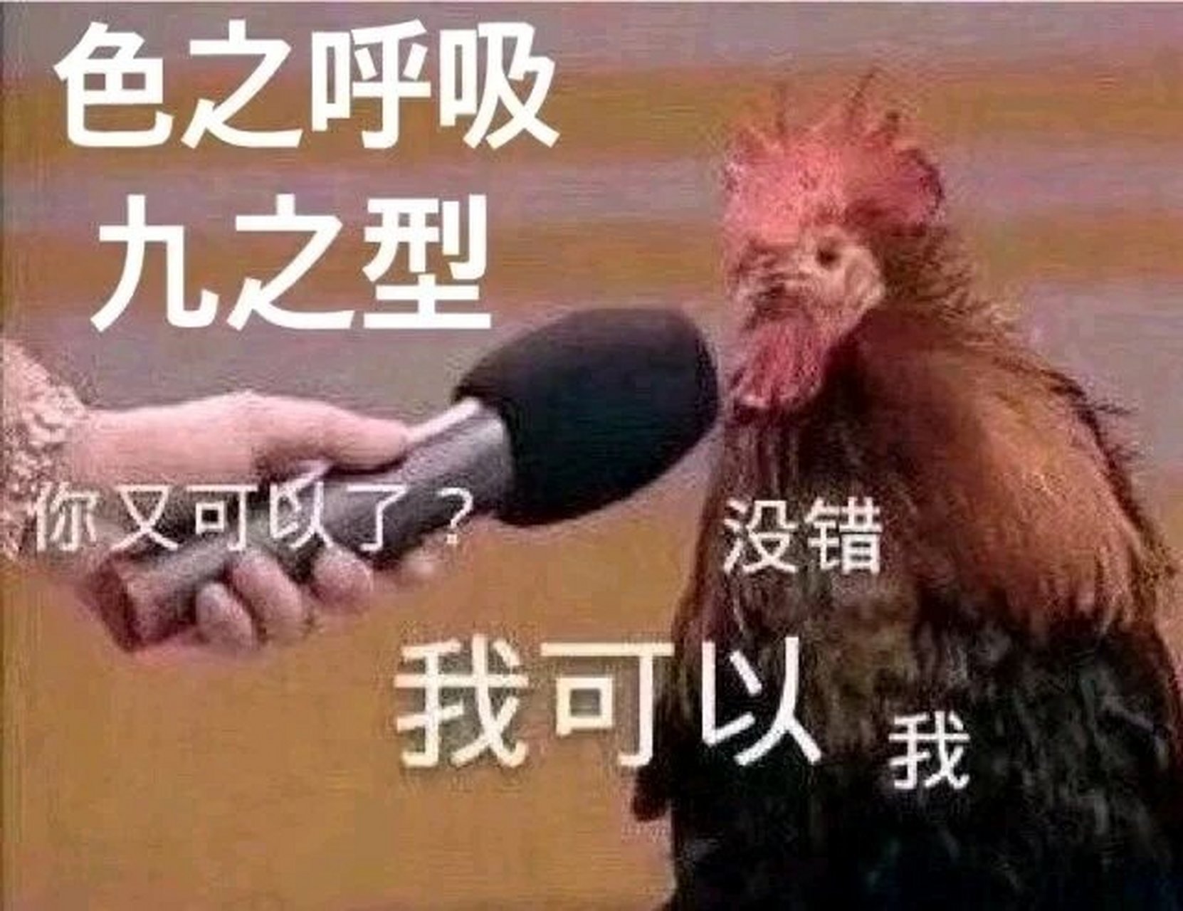 论sana老师的作品有多绝(有资源!) 对,没错,大家好,我是m某——mist.