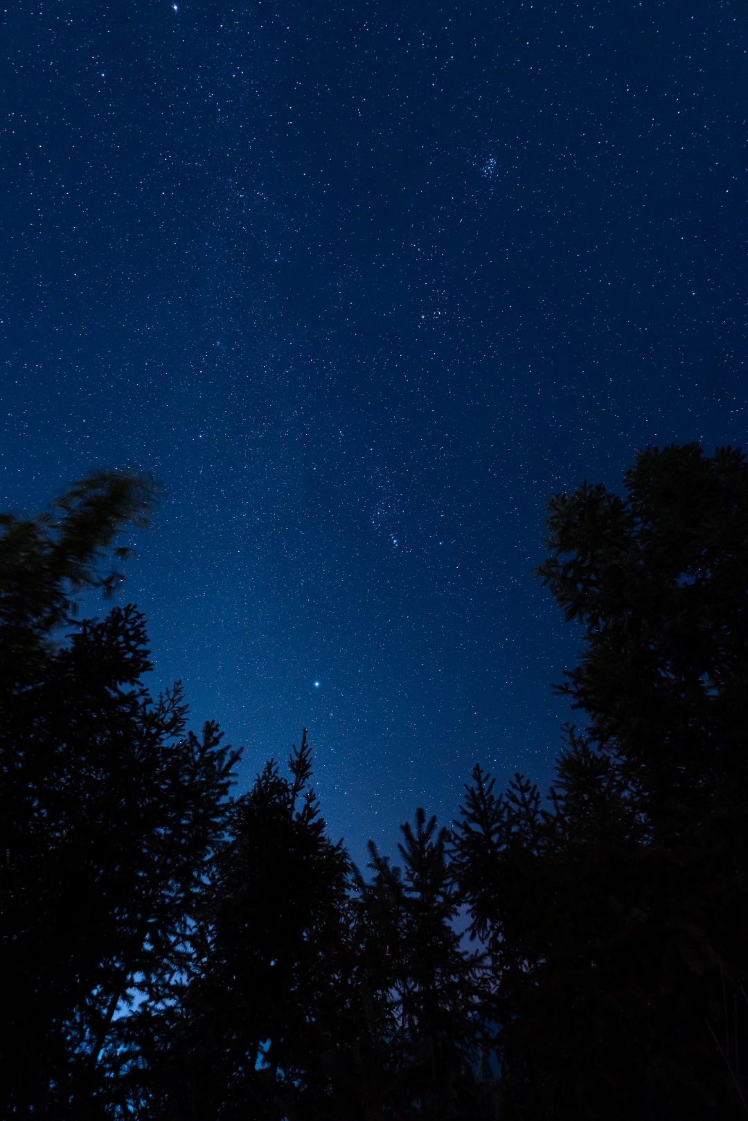 夜晚星星图片真实照片图片