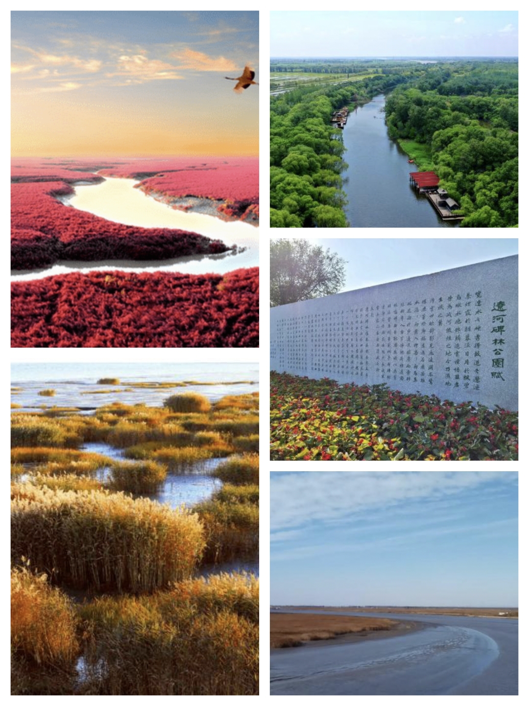 这些景点不去后悔一辈子00  盘锦,这座位于辽宁省的城市,以其丰富的