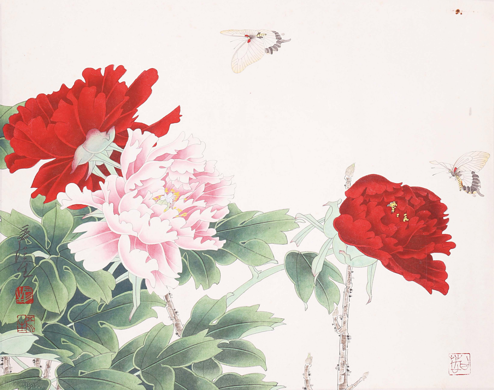 欣赏一组花鸟鱼虫国画,作品让人仿佛置身大自然之中一样,生机勃勃,花