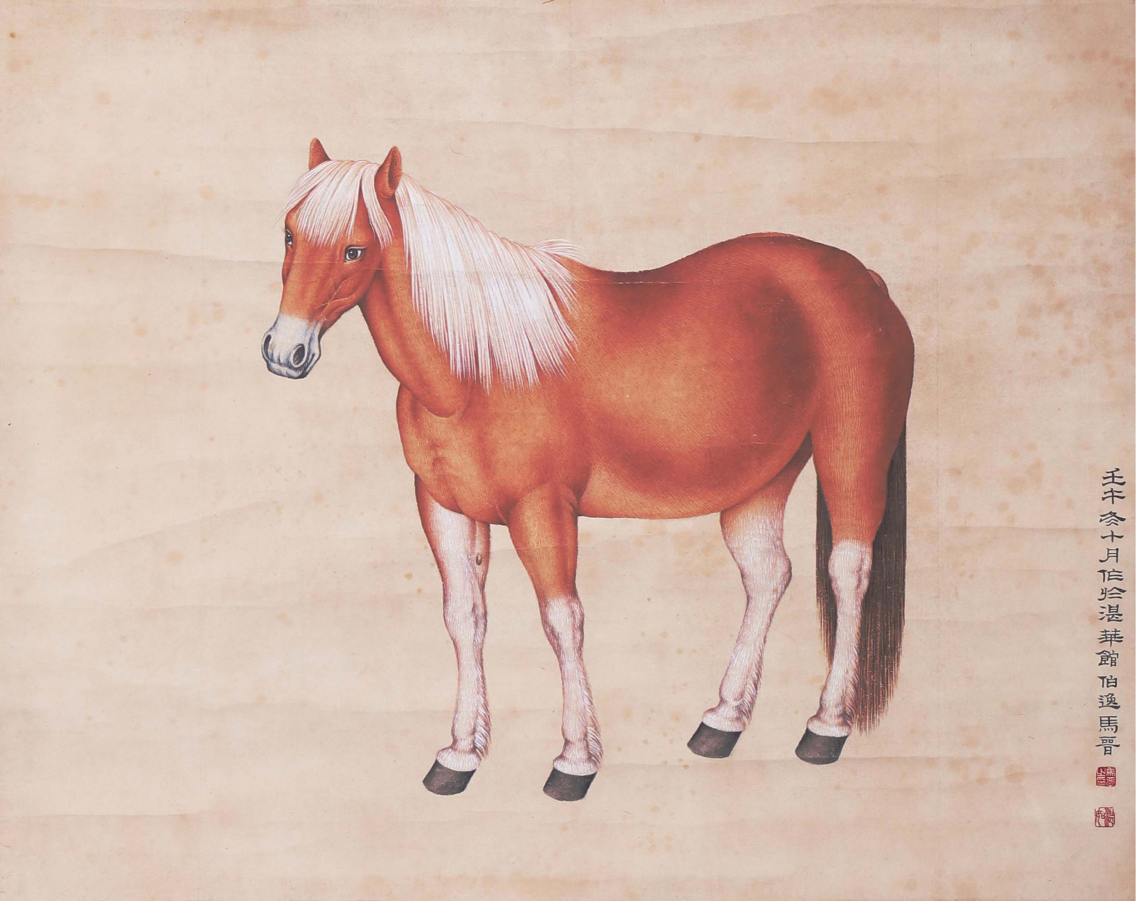 马晋画马,杨善深画虎,徐悲鸿画喜鹊和马,功底非凡,学习之范本.
