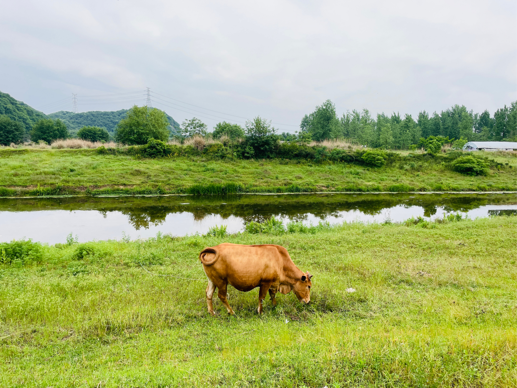 逃离城市露营计划之芜湖南陵弋江镇桃园滩 风景如画,原生态,享受大