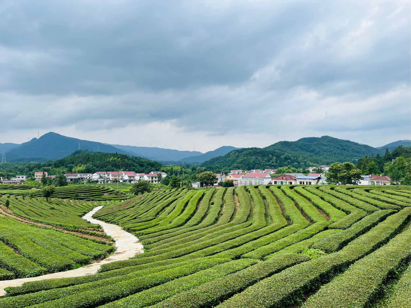 乡村振兴风景图片