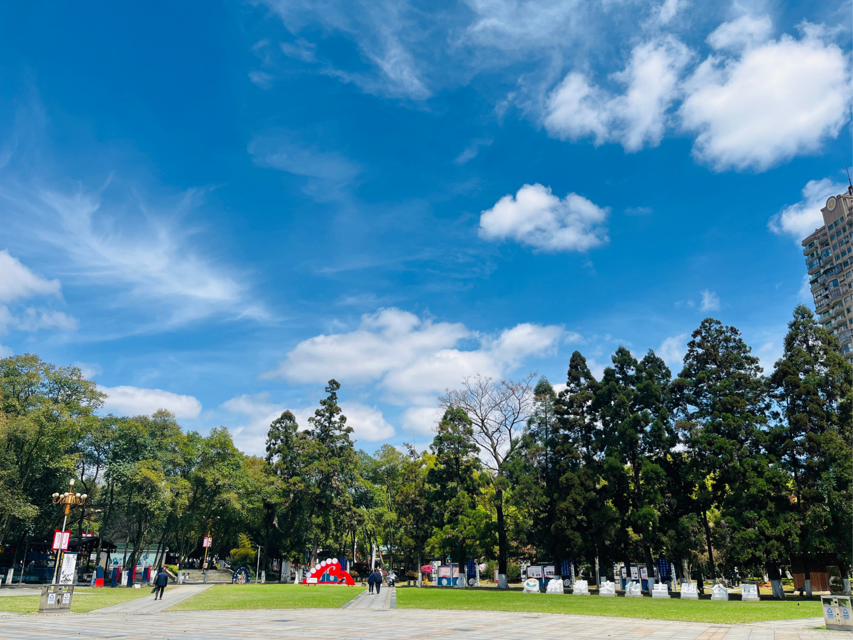 99景德镇·人民公园 [三哈]人民公园里面各种花都开了,桃花,樱花等!