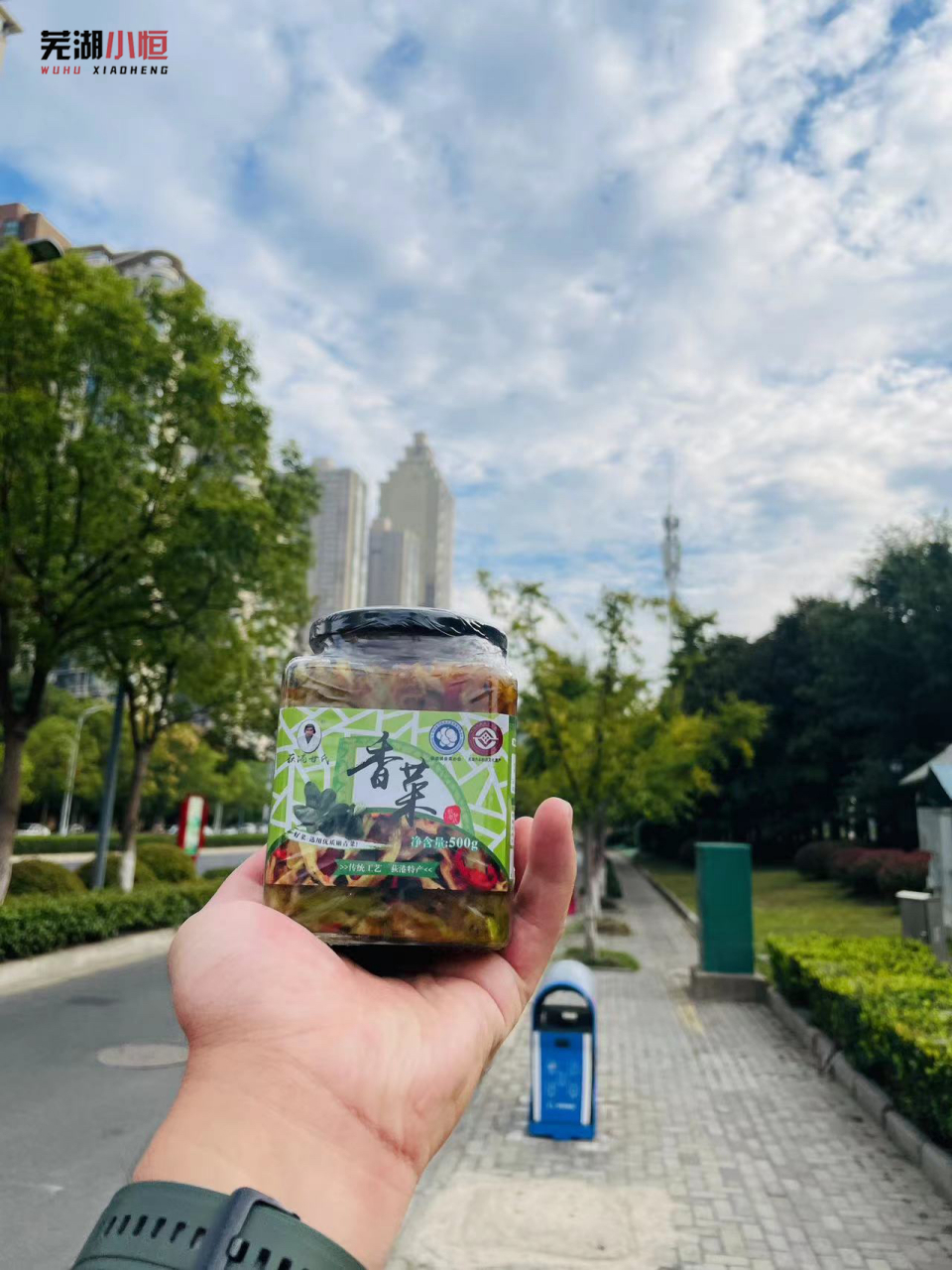 芜湖特产—芜湖荻港甘氏香菜[比心] 荻港香菜人人都拍案叫绝,此香菜